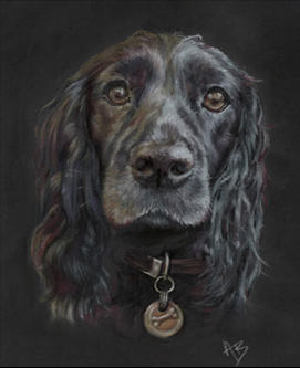 Dog Portrait 1