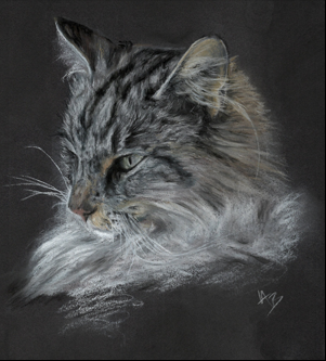 Cat Portrait