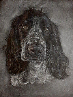 Dog Portrait 2